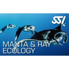 SSI kurs Manty i Ray